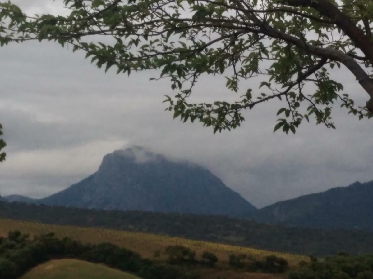 Los Tres Picos Prado Del Rey Εξωτερικό φωτογραφία