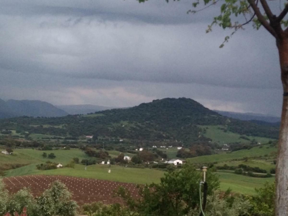 Los Tres Picos Prado Del Rey Εξωτερικό φωτογραφία