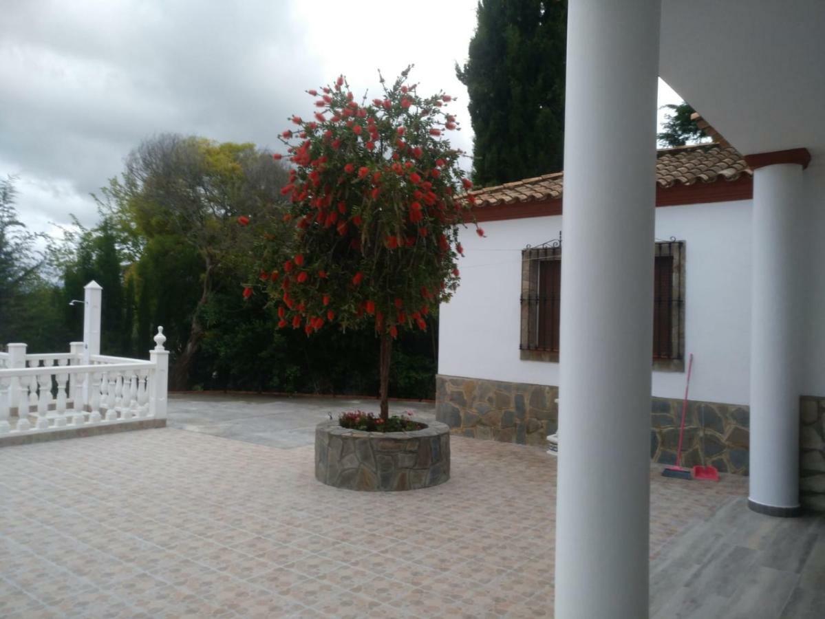 Los Tres Picos Prado Del Rey Εξωτερικό φωτογραφία